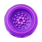 coin image